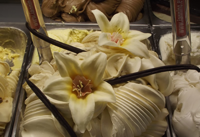 glace vanille bio